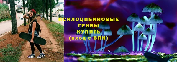 трава Балахна