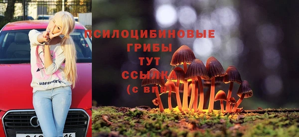 трава Балахна