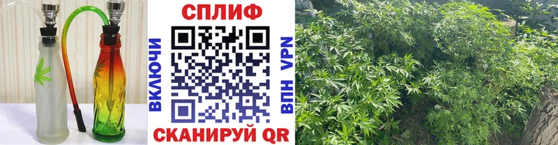 купить   Озёры  Канабис White Widow 
